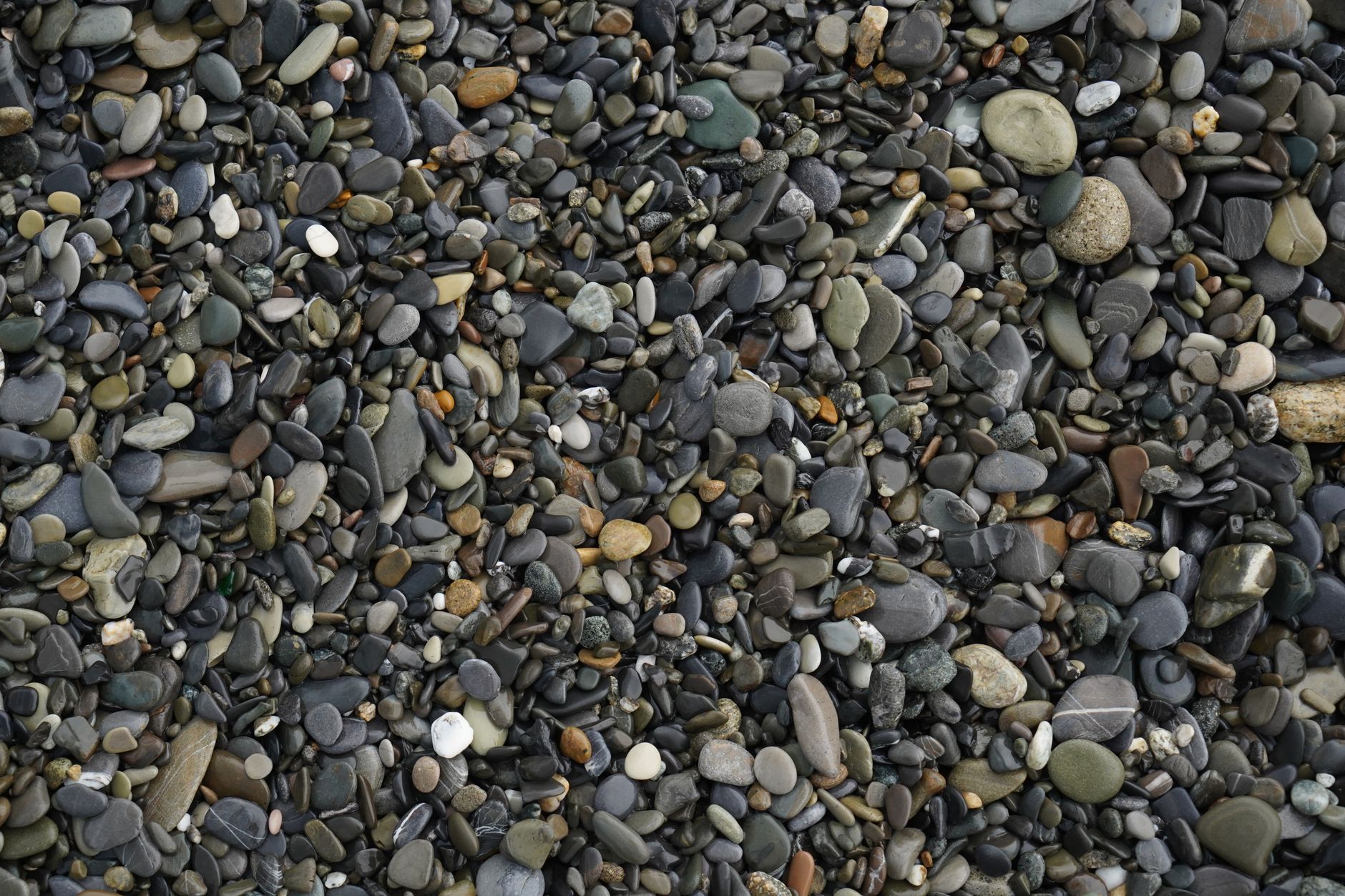 rocky chondrules sorting